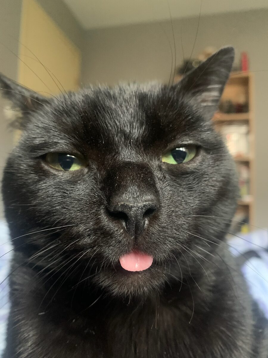 Krokmou blepping