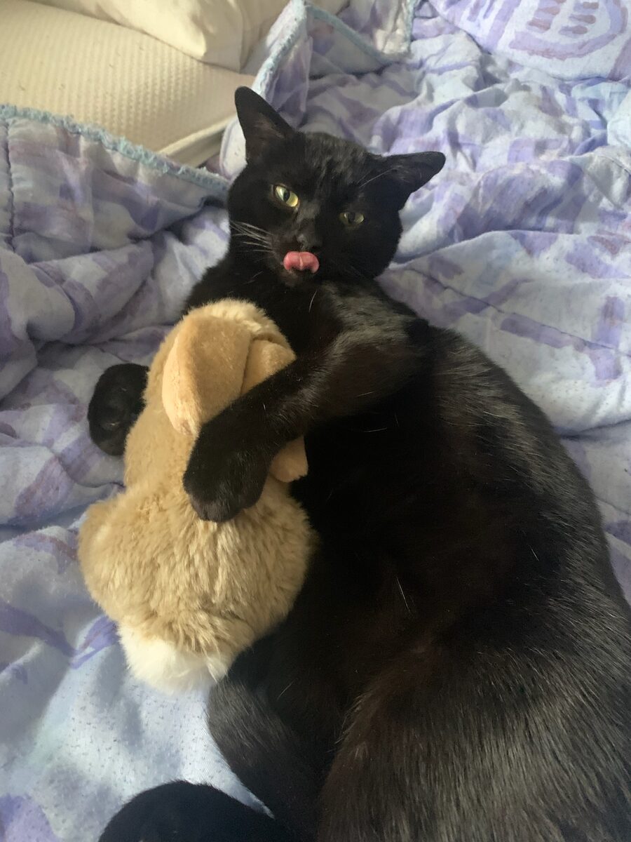 Krokmou blepping again