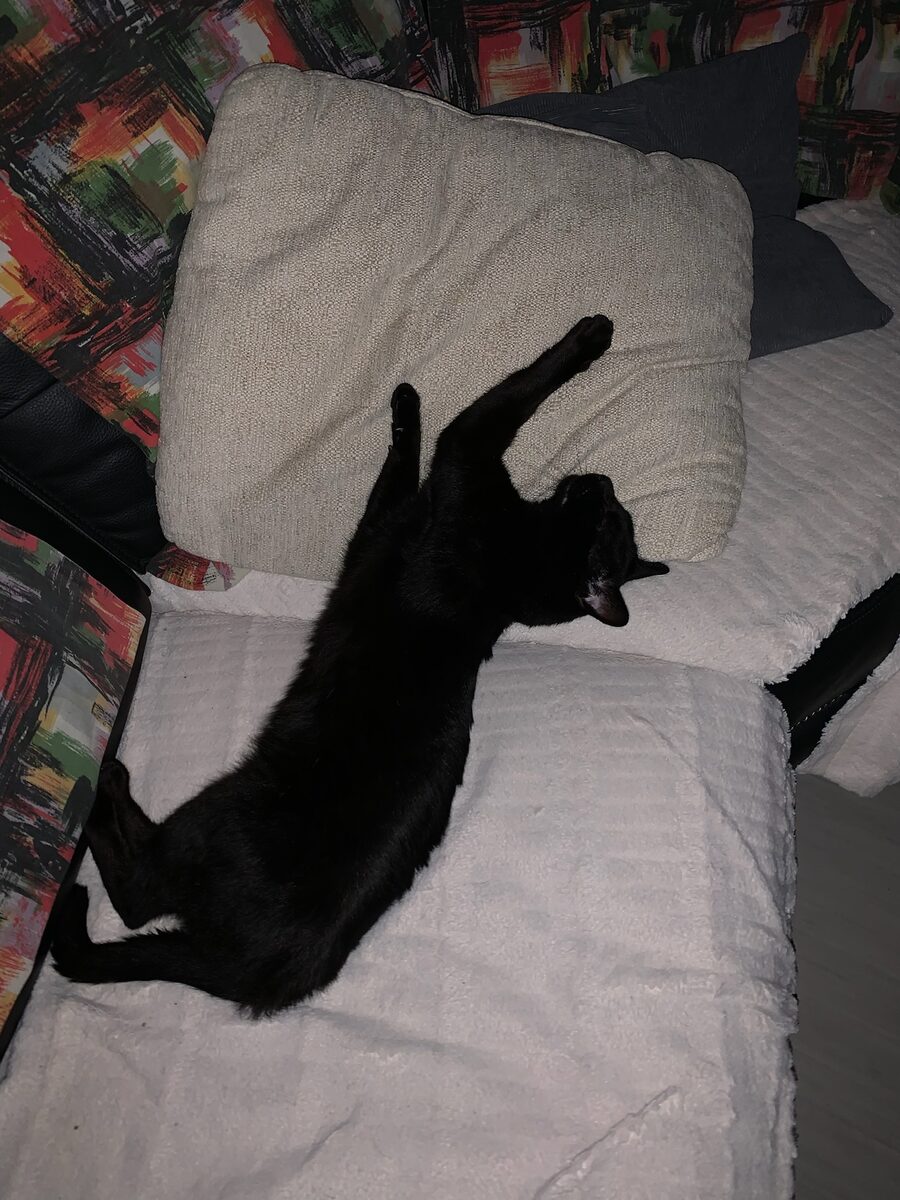 Krokmou looking unbothered