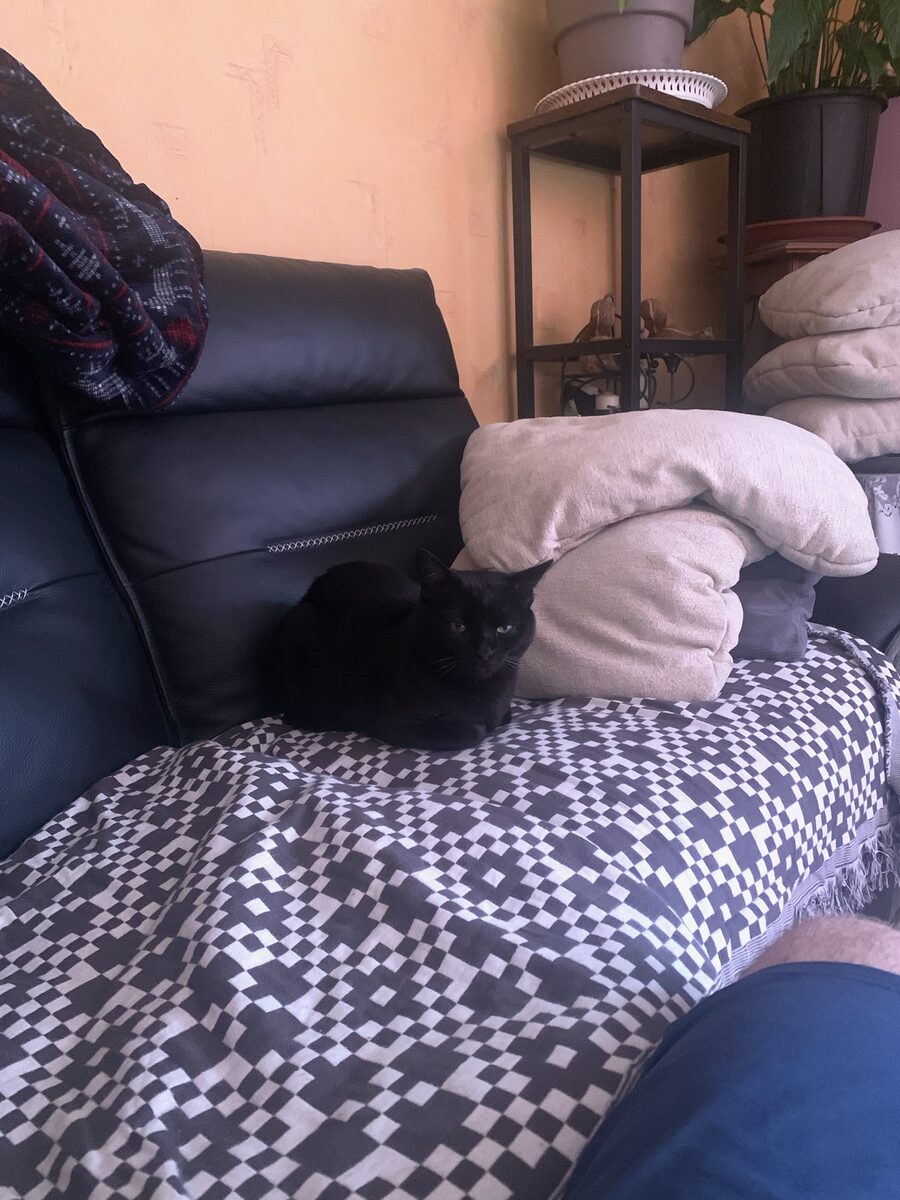 Krokmou chilling