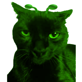 Klorp